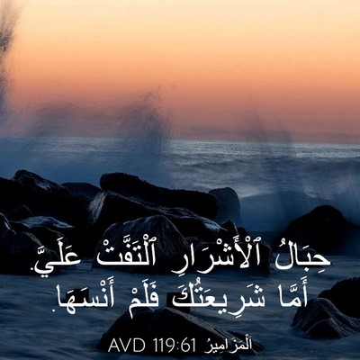Picture 03 - اَلْمَزَامِيرُ 119:61 AVD - حِبَالُ ٱلْأَشْرَارِ - Bible Verse Picture
