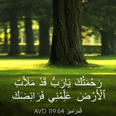 Picture 03 - اَلْمَزَامِيرُ 119:64 AVD - رَحْمَتُكَ يَارَبُّ قَدْ - Bible Verse Picture