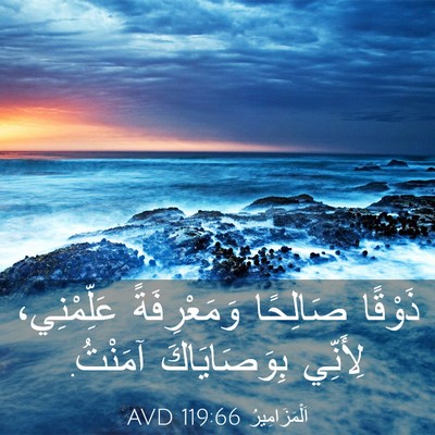 Picture 03 - اَلْمَزَامِيرُ 119:66 AVD - ذَوْقًا صَالِحًا - Bible Verse Picture