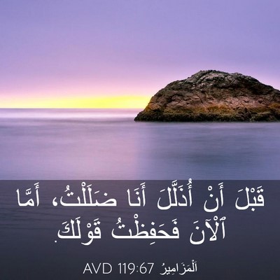 Picture 03 - اَلْمَزَامِيرُ 119:67 AVD - قَبْلَ أَنْ أُذَلَّلَ - Bible Verse Picture