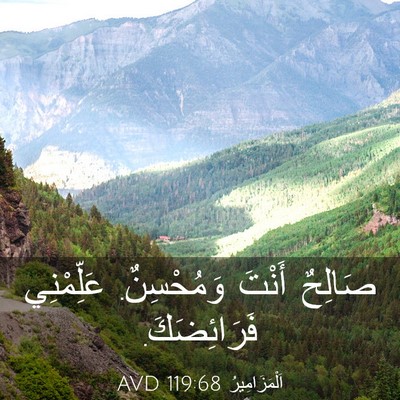 Picture 03 - اَلْمَزَامِيرُ 119:68 AVD - صَالِحٌ أَنْتَ وَمُحْسِنٌ. - Bible Verse Picture