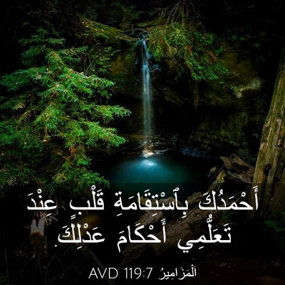 Picture 03 - اَلْمَزَامِيرُ 119:7 AVD - أَحْمَدُكَ بِٱسْتِقَامَةِ - Bible Verse Picture