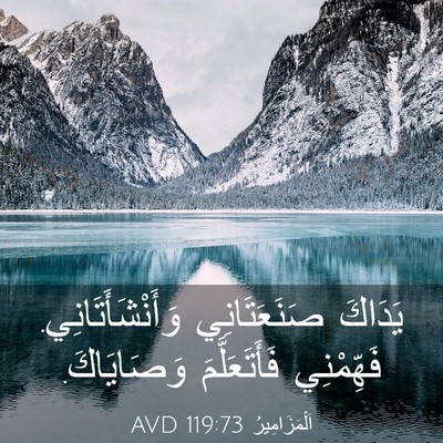 Picture 03 - اَلْمَزَامِيرُ 119:73 AVD - يَدَاكَ صَنَعَتَانِي - Bible Verse Picture