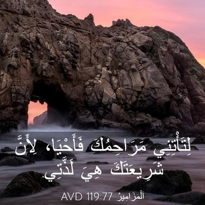 Picture 03 - اَلْمَزَامِيرُ 119:77 AVD - لِتَأْتِنِي مَرَاحِمُكَ - Bible Verse Picture