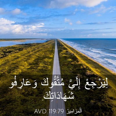 Picture 03 - اَلْمَزَامِيرُ 119:79 AVD - لِيَرْجِعْ إِلَيَّ - Bible Verse Picture