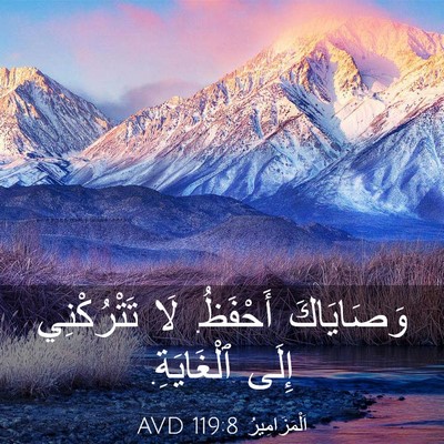 Picture 03 - اَلْمَزَامِيرُ 119:8 AVD - وَصَايَاكَ أَحْفَظُ. لَا - Bible Verse Picture