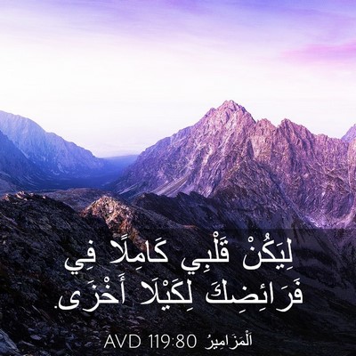 Picture 03 - اَلْمَزَامِيرُ 119:80 AVD - لِيَكُنْ قَلْبِي كَامِلًا - Bible Verse Picture