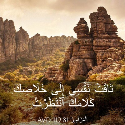 Picture 03 - اَلْمَزَامِيرُ 119:81 AVD - تَاقَتْ نَفْسِي إِلَى - Bible Verse Picture