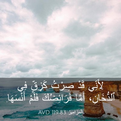 Picture 03 - اَلْمَزَامِيرُ 119:83 AVD - لِأَنِّي قَدْ صِرْتُ - Bible Verse Picture