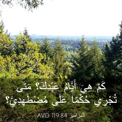 Picture 03 - اَلْمَزَامِيرُ 119:84 AVD - كَمْ هِيَ أَيَّامُ - Bible Verse Picture