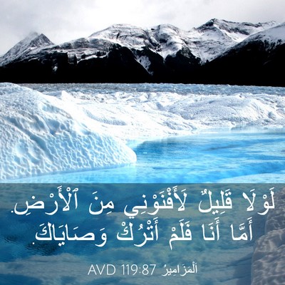 Picture 03 - اَلْمَزَامِيرُ 119:87 AVD - لَوْلَا قَلِيلٌ - Bible Verse Picture