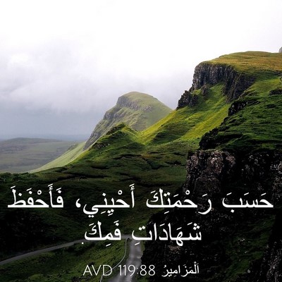 Picture 03 - اَلْمَزَامِيرُ 119:88 AVD - حَسَبَ رَحْمَتِكَ - Bible Verse Picture