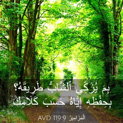 Picture 03 - اَلْمَزَامِيرُ 119:9 AVD - بِمَ يُزَكِّي ٱلشَّابُّ - Bible Verse Picture