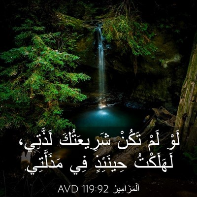 Picture 03 - اَلْمَزَامِيرُ 119:92 AVD - لَوْ لَمْ تَكُنْ - Bible Verse Picture