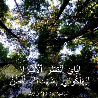 Picture 03 - اَلْمَزَامِيرُ 119:95 AVD - إِيَّايَ ٱنْتَظَرَ - Bible Verse Picture