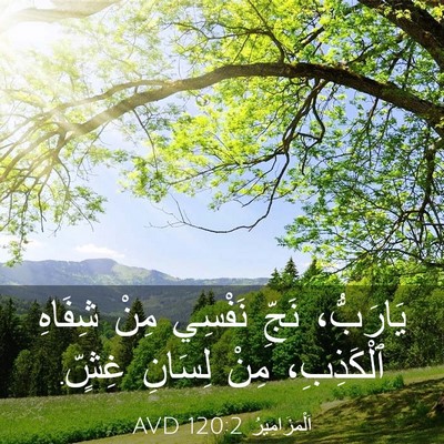 Picture 03 - اَلْمَزَامِيرُ 120:2 AVD - يَارَبُّ، نَجِّ نَفْسِي - Bible Verse Picture
