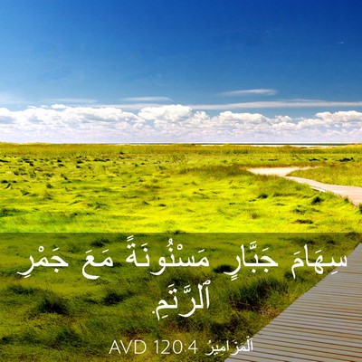 Picture 03 - اَلْمَزَامِيرُ 120:4 AVD - سِهَامَ جَبَّارٍ - Bible Verse Picture