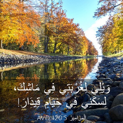 Picture 03 - اَلْمَزَامِيرُ 120:5 AVD - وَيْلِي لِغُرْبَتِي فِي - Bible Verse Picture