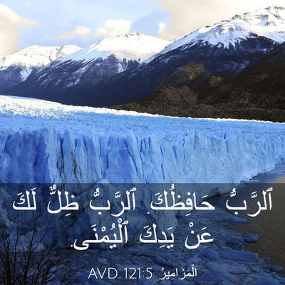 Picture 03 - اَلْمَزَامِيرُ 121:5 AVD - ٱلرَّبُّ حَافِظُكَ. - Bible Verse Picture