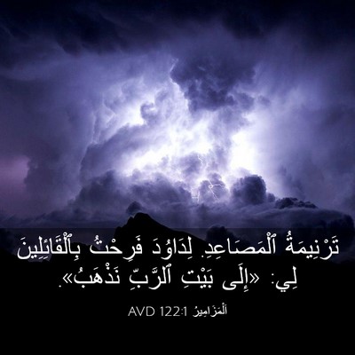 Picture 03 - اَلْمَزَامِيرُ 122:1 AVD - تَرْنِيمَةُ ٱلْمَصَاعِدِ. - Bible Verse Picture