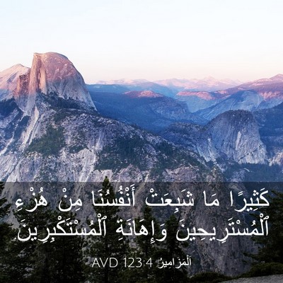 Picture 03 - اَلْمَزَامِيرُ 123:4 AVD - كَثِيرًا مَا شَبِعَتْ - Bible Verse Picture