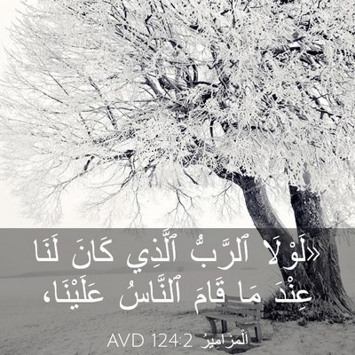 Picture 03 - اَلْمَزَامِيرُ 124:2 AVD - «لَوْلَا ٱلرَّبُّ ٱلَّذِي - Bible Verse Picture