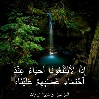 Picture 03 - اَلْمَزَامِيرُ 124:3 AVD - إِذًا لَٱبْتَلَعُونَا - Bible Verse Picture