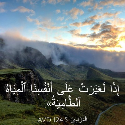 Picture 03 - اَلْمَزَامِيرُ 124:5 AVD - إِذًا لَعَبَرَتْ عَلَى - Bible Verse Picture