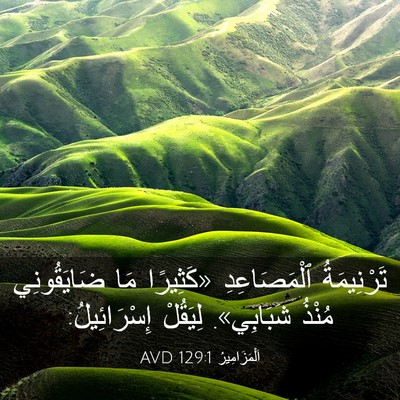 Picture 03 - اَلْمَزَامِيرُ 129:1 AVD - تَرْنِيمَةُ ٱلْمَصَاعِدِ - Bible Verse Picture