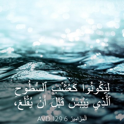Picture 03 - اَلْمَزَامِيرُ 129:6 AVD - لِيَكُونُوا كَعُشْبِ - Bible Verse Picture