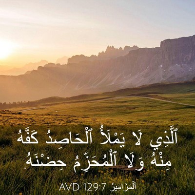 Picture 03 - اَلْمَزَامِيرُ 129:7 AVD - ٱلَّذِي لَا يَمْلَأُ - Bible Verse Picture