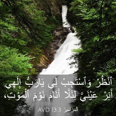 Picture 03 - اَلْمَزَامِيرُ 13:3 AVD - ٱنْظُرْ وَٱسْتَجِبْ لِي - Bible Verse Picture