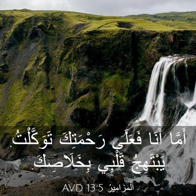 Picture 03 - اَلْمَزَامِيرُ 13:5 AVD - أَمَّا أَنَا فَعَلَى - Bible Verse Picture