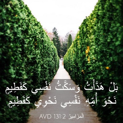 Picture 03 - اَلْمَزَامِيرُ 131:2 AVD - بَلْ هَدَّأْتُ وَسَكَّتُّ - Bible Verse Picture