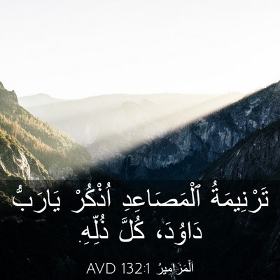 Picture 03 - اَلْمَزَامِيرُ 132:1 AVD - تَرْنِيمَةُ ٱلْمَصَاعِدِ - Bible Verse Picture