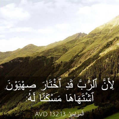 Picture 03 - اَلْمَزَامِيرُ 132:13 AVD - لِأَنَّ ٱلرَّبَّ قَدِ - Bible Verse Picture