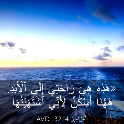 Picture 03 - اَلْمَزَامِيرُ 132:14 AVD - «هَذِهِ هِيَ رَاحَتِي - Bible Verse Picture