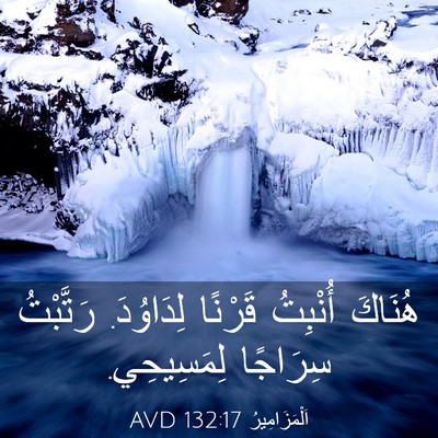Picture 03 - اَلْمَزَامِيرُ 132:17 AVD - هُنَاكَ أُنْبِتُ قَرْنًا - Bible Verse Picture