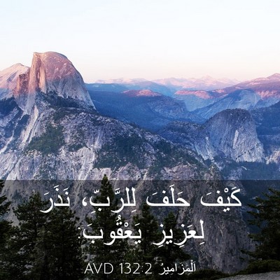 Picture 03 - اَلْمَزَامِيرُ 132:2 AVD - كَيْفَ حَلَفَ لِلرَّبِّ، - Bible Verse Picture