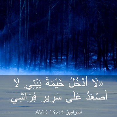 Picture 03 - اَلْمَزَامِيرُ 132:3 AVD - «لَا أَدْخُلُ خَيْمَةَ - Bible Verse Picture