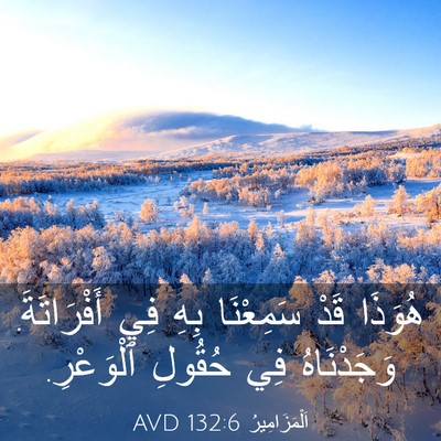 Picture 03 - اَلْمَزَامِيرُ 132:6 AVD - هُوَذَا قَدْ سَمِعْنَا - Bible Verse Picture