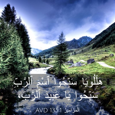 Picture 03 - اَلْمَزَامِيرُ 135:1 AVD - هَلِّلُويَا. سَبِّحُوا - Bible Verse Picture