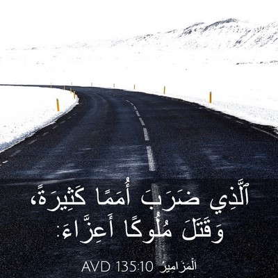 Picture 03 - اَلْمَزَامِيرُ 135:10 AVD - ٱلَّذِي ضَرَبَ أُمَمًا - Bible Verse Picture