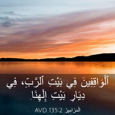 Picture 03 - اَلْمَزَامِيرُ 135:2 AVD - ٱلْوَاقِفِينَ فِي بَيْتِ - Bible Verse Picture