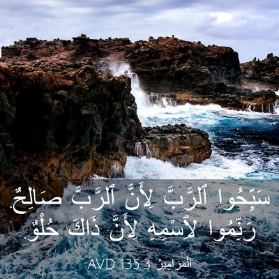 Picture 03 - اَلْمَزَامِيرُ 135:3 AVD - سَبِّحُوا ٱلرَّبَّ - Bible Verse Picture