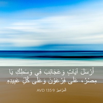 Picture 03 - اَلْمَزَامِيرُ 135:9 AVD - أَرْسَلَ آيَاتٍ - Bible Verse Picture