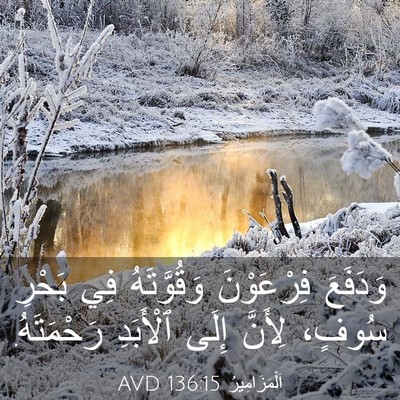 Picture 03 - اَلْمَزَامِيرُ 136:15 AVD - وَدَفَعَ فِرْعَوْنَ - Bible Verse Picture