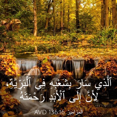 Picture 03 - اَلْمَزَامِيرُ 136:16 AVD - ٱلَّذِي سَارَ بِشَعْبِهِ - Bible Verse Picture