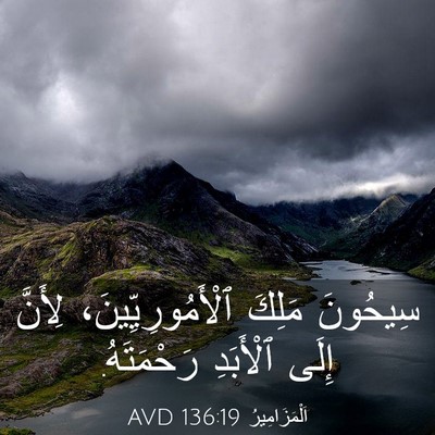 Picture 03 - اَلْمَزَامِيرُ 136:19 AVD - سِيحُونَ مَلِكَ - Bible Verse Picture