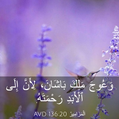 Picture 03 - اَلْمَزَامِيرُ 136:20 AVD - وَعُوجَ مَلِكَ بَاشَانَ، - Bible Verse Picture